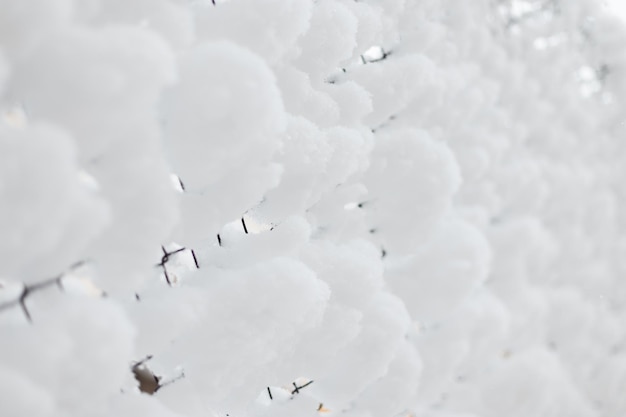 울타리의 금속 메쉬에 아름다운 눈. 추운 겨울날