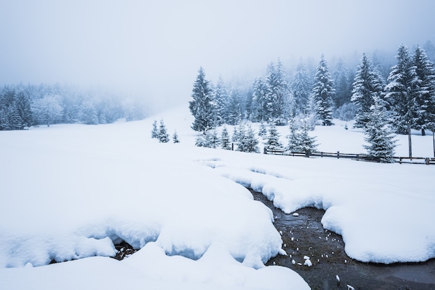 曇った冬の凍るような日に、雪の吹きだまりと細い川の美しい雪のパノラマが針葉樹の密な雪に覆われた森の壁を通り過ぎます