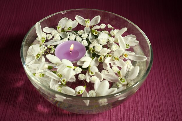 Foto bellissimi bucaneve e candela in una ciotola di vetro con acqua su sfondo viola