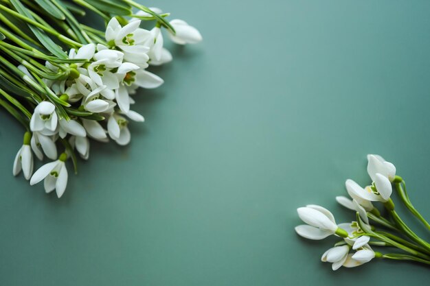 Beautiful snowdrops on green background