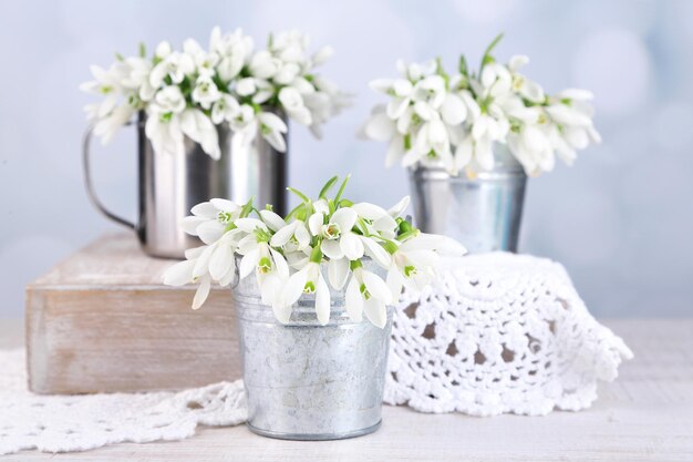 Beautiful snowdrops on light background