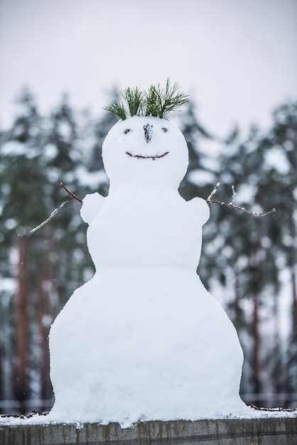 美しい雪だるま。雪だるまを作る、最初の雪。