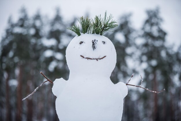 Photo beautiful snowman. making a snowman, first snow.