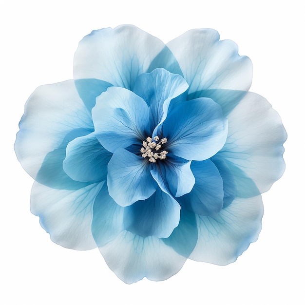 Красивый мягкий голубой цветок