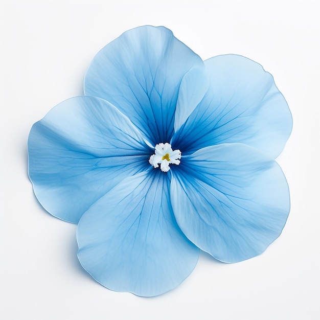 Foto bellissimo fiore blu morbido