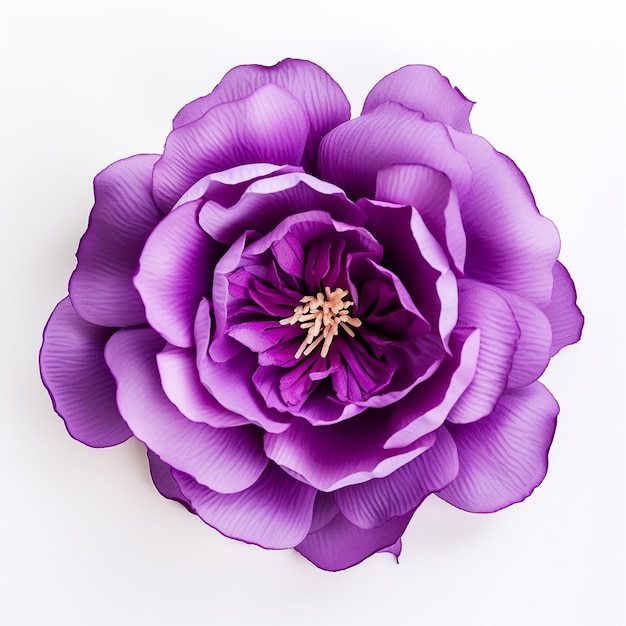 Beautiful Soft Purple Flower