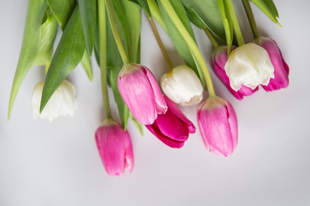 Beautiful spring bouquet with pink and white tulips on a white background. Spring, 8 March, birthday. Postcard, place for an inscription.