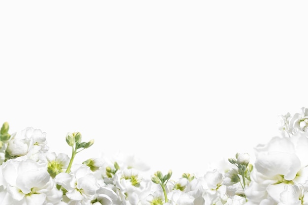 Beautiful spring flowers background Season theme