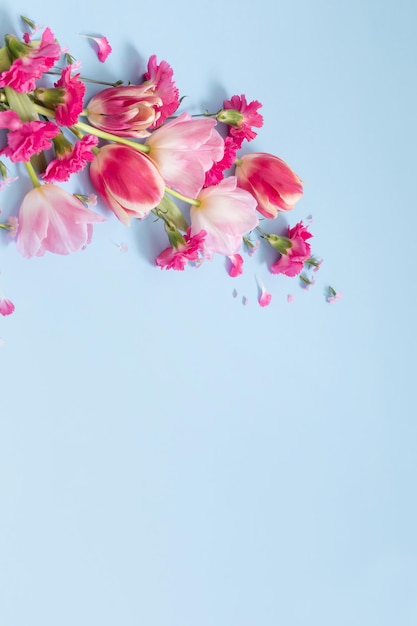 Beautiful spring flowers on blue background