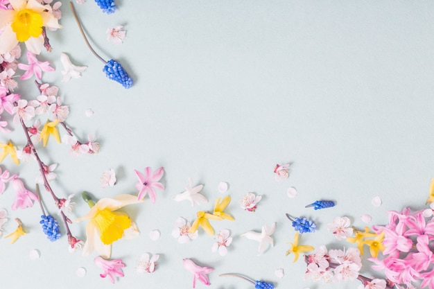 Beautiful spring flowers on blue surface