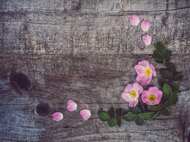 ぼろぼろのボードの上に横たわる美しい、春の花