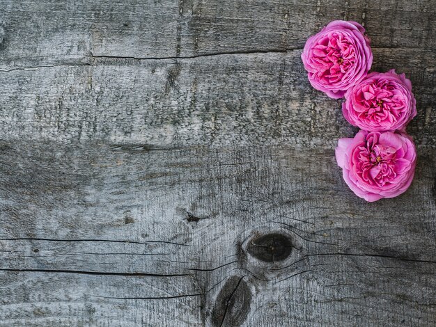 Beautiful, spring flowers lying on shabby boards