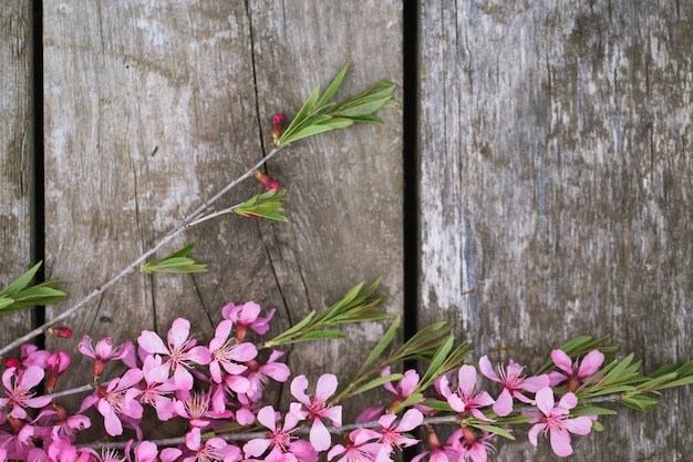 Beautiful spring flowers on old wooden