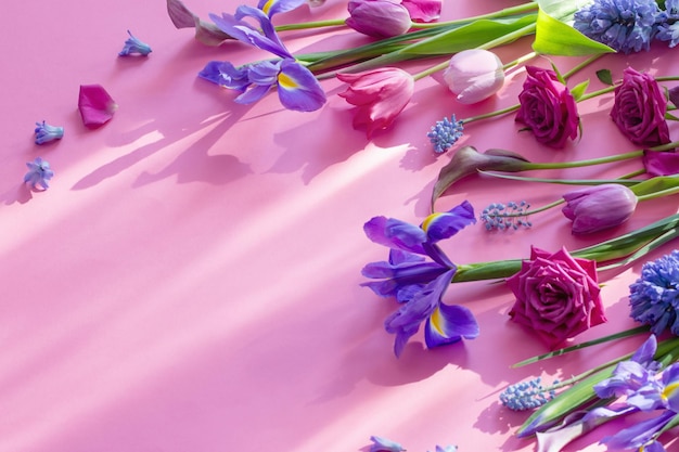 写真 ピンクの紙の背景に麗な春の花