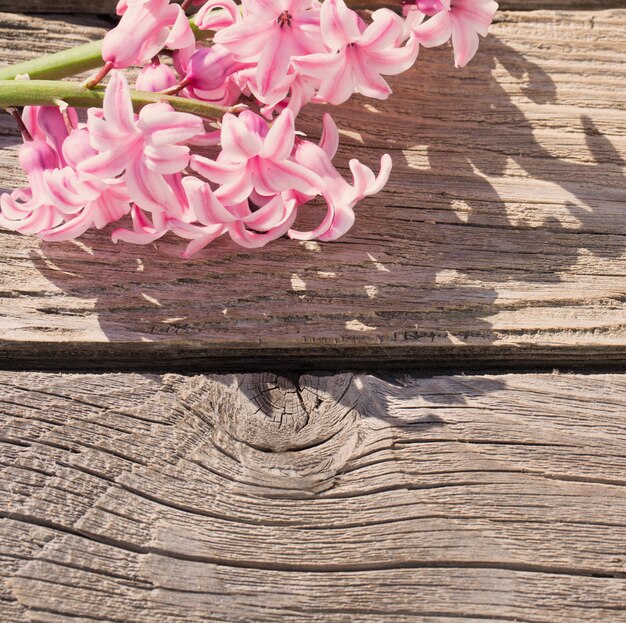 写真 木製の背景の美しい春の花