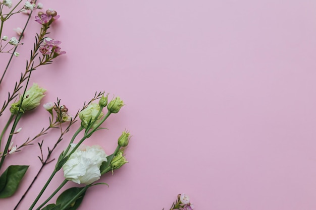 Beautiful spring flowers on pink background with space for text Stylish floral flat lay with eustoma gypsophila and chamelaucium Greeting card or banner Happy womens day and mothers day