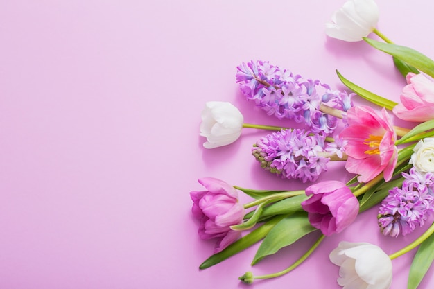 Beautiful spring flowers on pink background