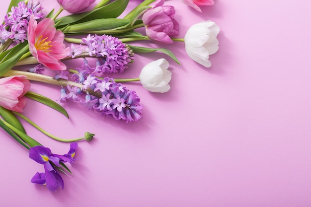 Beautiful spring flowers on pink background