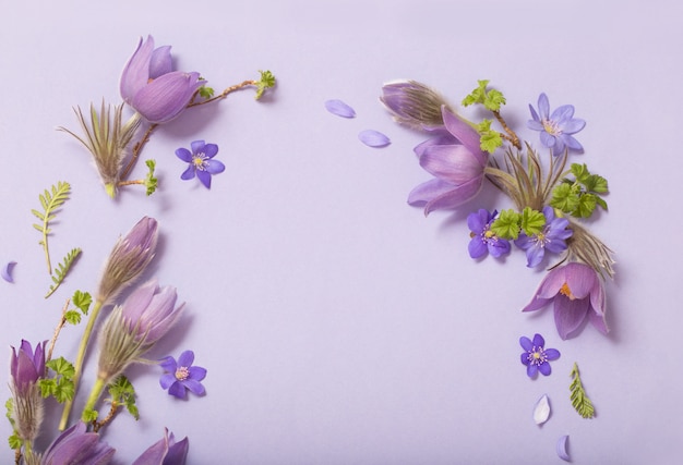 Beautiful spring flowers on purple background