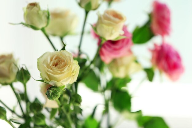 Beautiful spring flowers on soft window background closeup