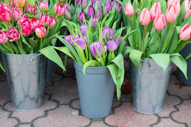 Beautiful spring flowers tulips in the buckets on city street