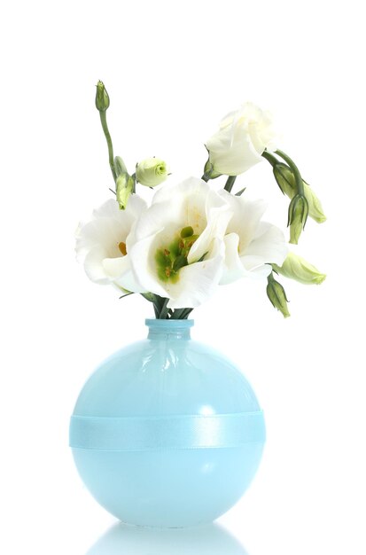 Красивые весенние цветы в вазе, изолированные на белом