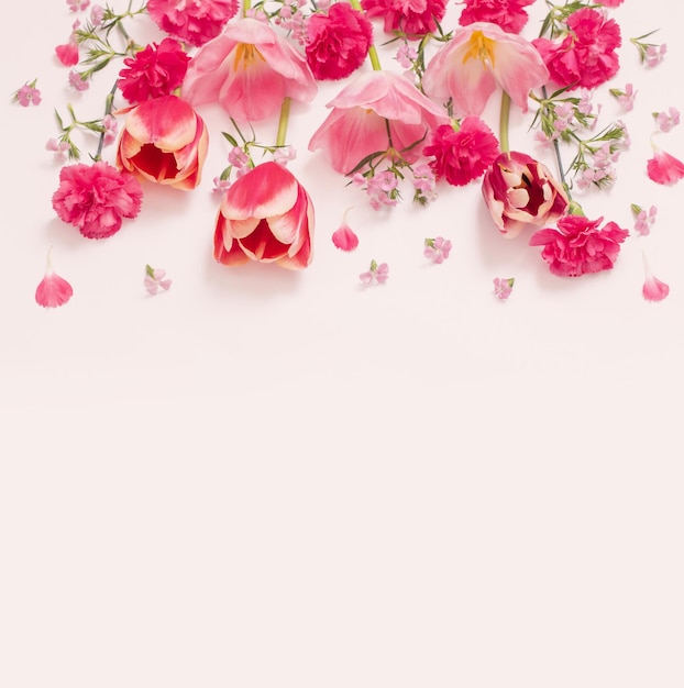 Beautiful spring flowers on white background