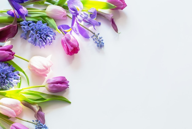 beautiful spring flowers on white background