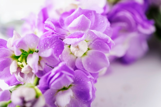 Beautiful spring flowers on the white table, selective focus