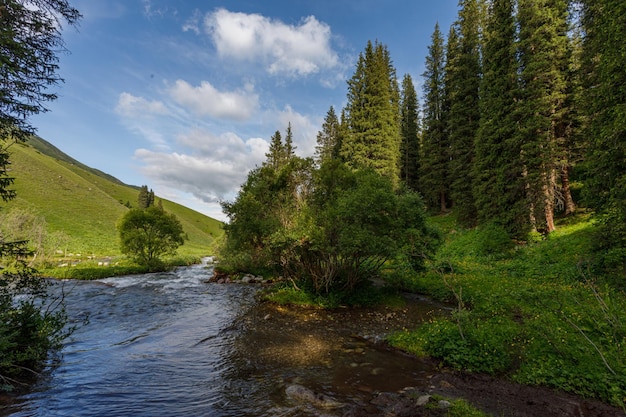 beautiful spring landscape with mountain river