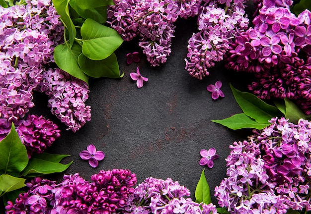 Beautiful spring lilac flowers