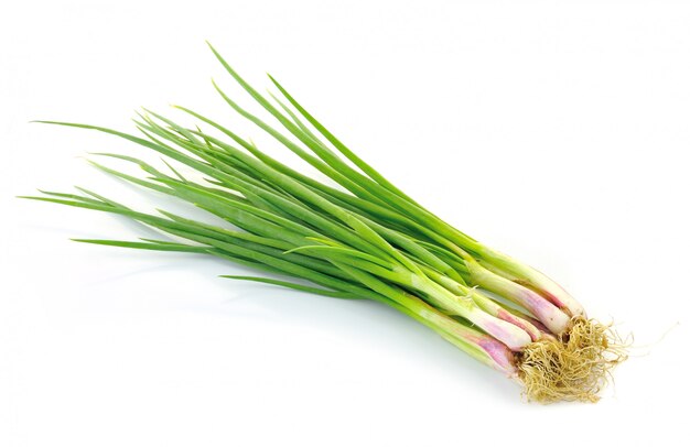 Beautiful spring onions on a white wall.