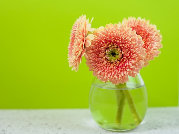 花瓶の青いパステル調のテーブルの上の美しい春のピンクの花。花のボーダー。