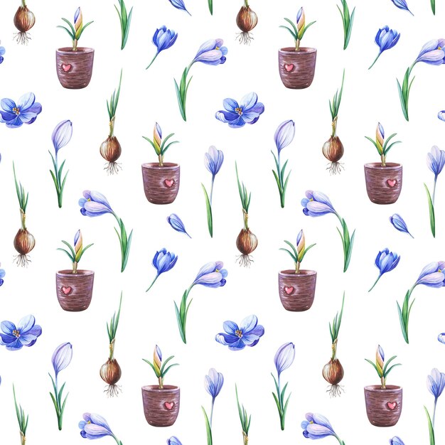 Beautiful spring seamless pattern with blue crocusesbrown pot