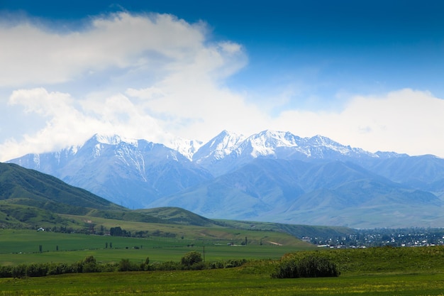 Beautiful spring and summer landscape Lush green hills high mountains Spring blooming herbs Kyrgyzstan