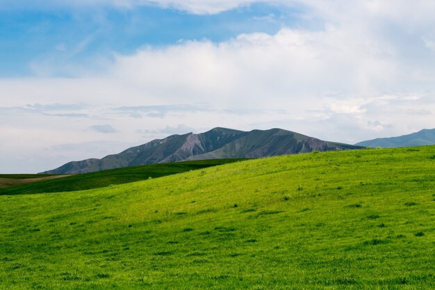 Photo beautiful spring and summer landscape.