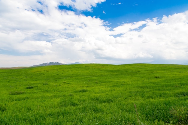 Bellissimo paesaggio primaverile ed estivo.