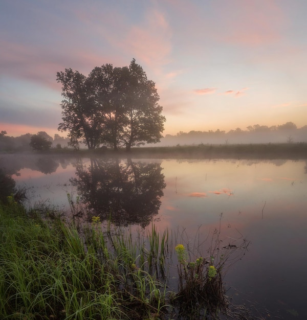 Beautiful spring view, photo landscape, natural view