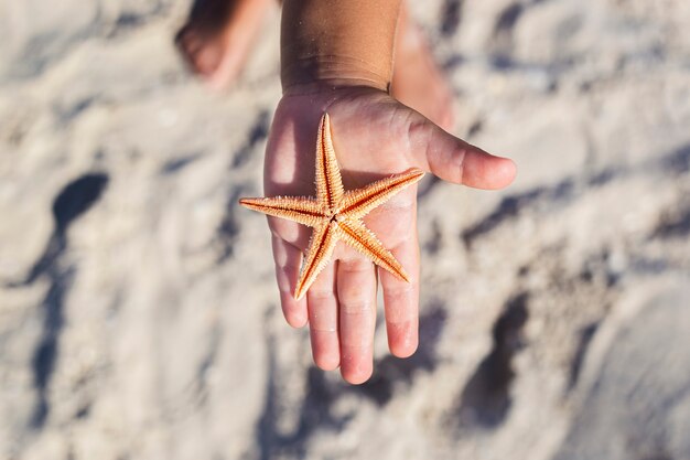 Beautiful starfish on a child's palm on a sandy beach.