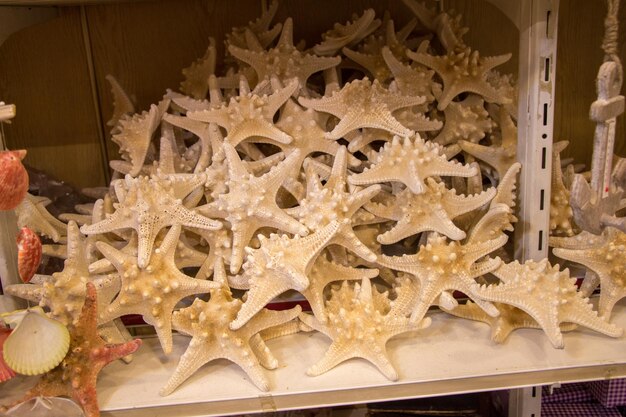 Beautiful starfish found for decorative purposes