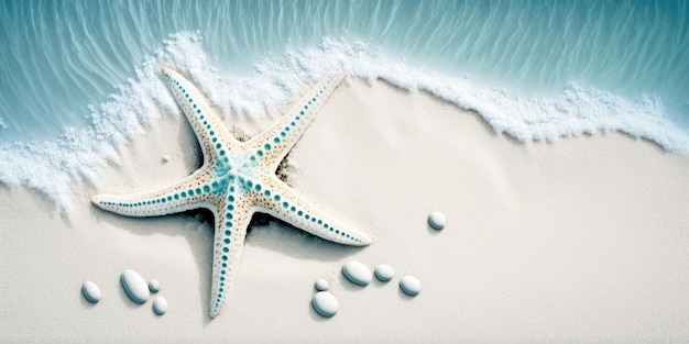 Beautiful Starfish on Pure White Sand and Blue Sea Water Banner