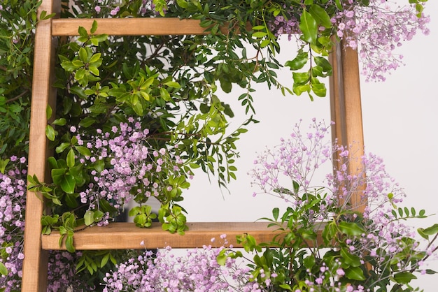 Beautiful step ladder decorated with bushes of flowers on white background