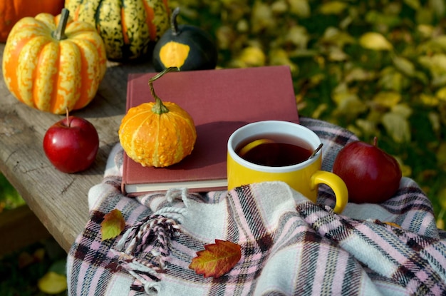 Beautiful still life tea with lemon plaid apples and pumpkins close up