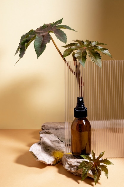 Beautiful still life with herbal medicine