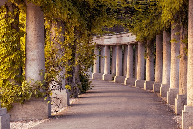 A beautiful stone arch in the botanical garden and an alley passing through it