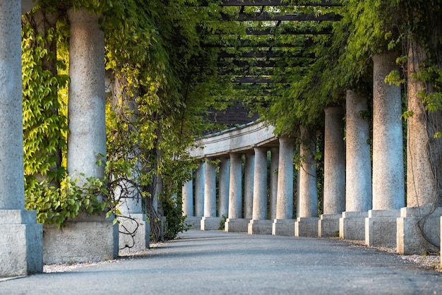 Beautiful stone arch with a passage inside overgrown with ivy