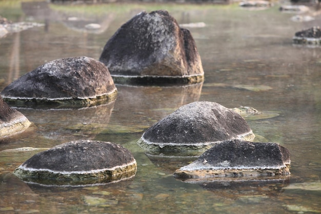 beautiful stone in the water