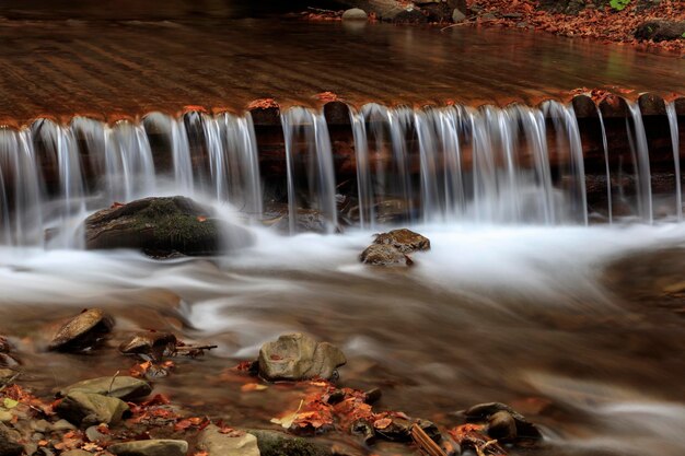 Photo beautiful streams and small waterfalls near the big carpathian waterfall shypit in the autumn