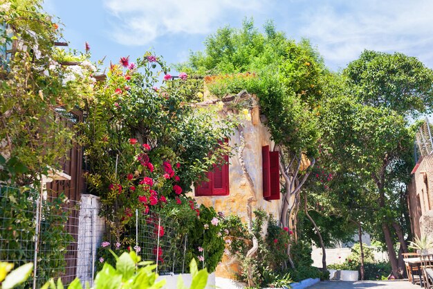 Beautiful street in Athens, Greece. National architecture in the ancient district of Plaka.