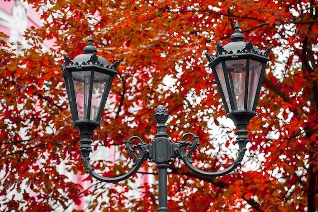 Beautiful street lamp against the blue sky